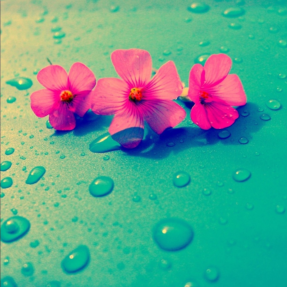 Nafiya Sheik’s closet